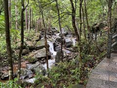 -姑婆山旅游区