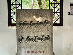 -上海醉白池公园