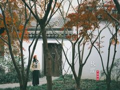 -秋霞圃