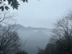 -东天目山风景区