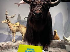 -中国湿地博物馆
