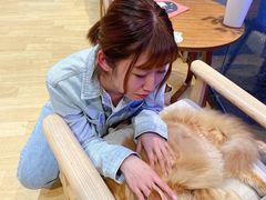 -藏猫猫咖啡主题馆(中央大道店)