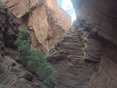 -天山神秘大峡谷