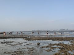 -巨鹏飞梦幻海岸