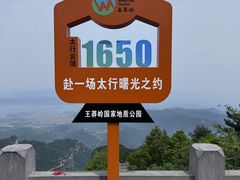 -王莽岭风景区