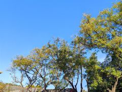 -东华门大街小区