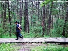 -帽儿山国家森林公园