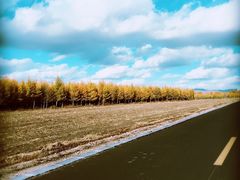 -塞罕坝国家级自然保护区