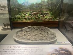 -辽宁古生物博物馆