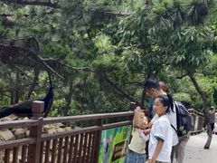 -西霞口神雕山野生动物世界