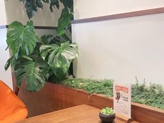 靠窗位-Peet's Coffee皮爷咖啡(上海长风大悦城店)