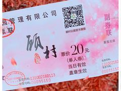 -顾村公园