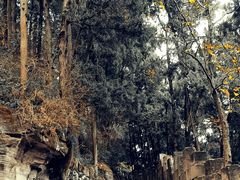 -金堂县云顶石城风景区