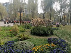 -温江公园