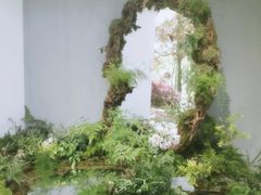 -上海鲜花港