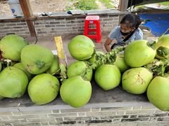 -蔡家宅