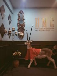 -HMC美容按摩SPA馆