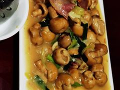 -野菌皇海景野生菌火锅(滨海大道店)