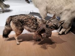 -陕西自然博物馆