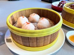 -采蝶轩