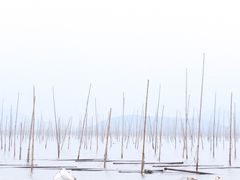 -北岐滩涂