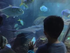 -石家庄海洋公园