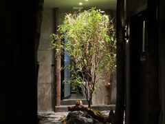 -森SPA·泰式按摩·精油Massage(宝安中心店)
