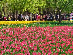 -长春公园(普阳街道)