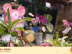 -谷咖啡·鲜花绿植花园餐厅