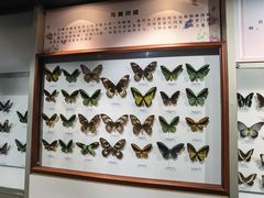 -吉林省自然博物馆