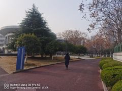 -金陵中学(河西分校)