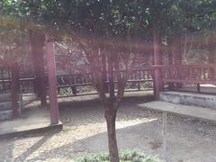 -太湖源风景区
