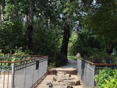 -仁和公园(顺义区)
