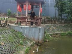 -元鼎宝驴香·全驴宴(江宁店)