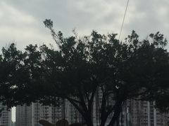 -英雄广场