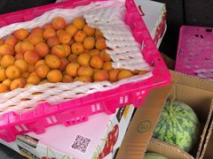 -西郊国际农产品交易中心