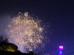 -映月湖中央公园