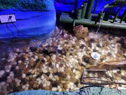 -酷嗒动物文化乐园(cutezoo西溪乐天城店)