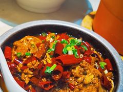 -黑蚂蚁(南河店)