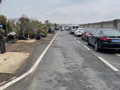 -龙大花卉苗木市场