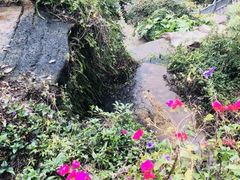 -鸿山公园