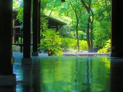 -盘龙城国家考古遗址公园