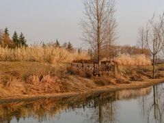 -洨河生态公园