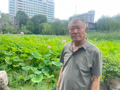 -莲湖公园