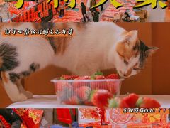 -李村大集