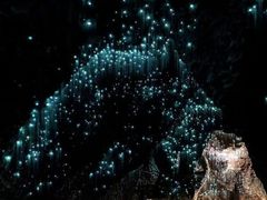 -怀托摩萤火虫洞