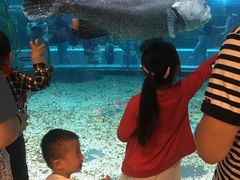 -绍兴梦享海洋公园