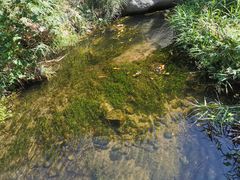 -碓臼峪自然风景区