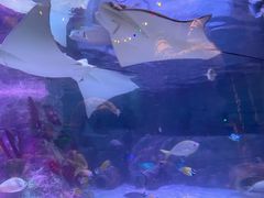 -沈阳海洋探索中心