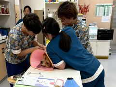 -康成宠物医院24H·CT·核磁共振